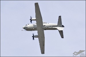 D71_9848